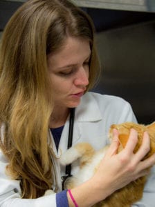 female dr and cat