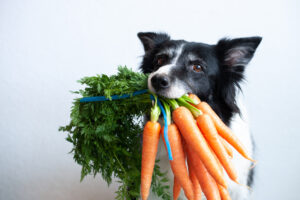 are vegetables safe for dogs to eat atlanta ga